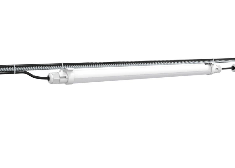 lighting for broilers