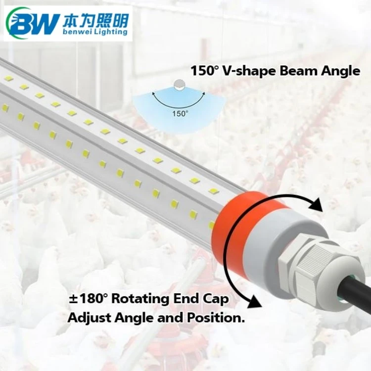 led poultry lighting system