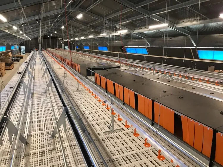 application application