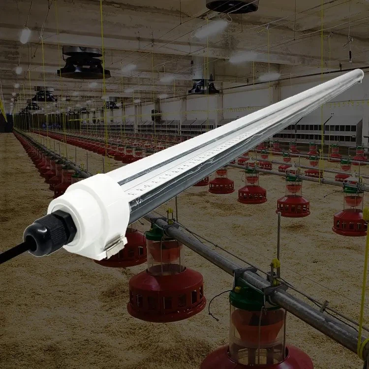 dimmer poultry LED light for chicken farm4 dimmer poultry LED light for chicken farm4