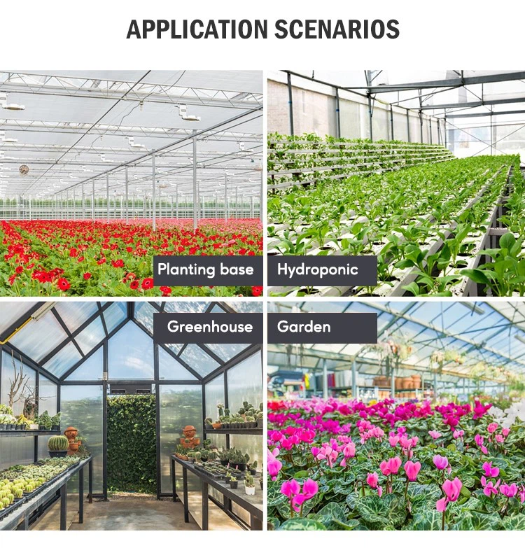 application application