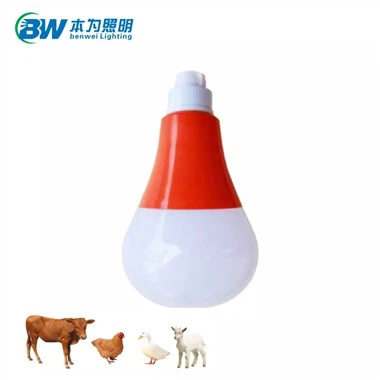 بيت الدجاجة الخفيفة