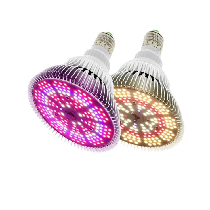 Grow Light Bulbs For Indoor Plants