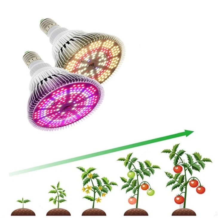 grow light bulbs