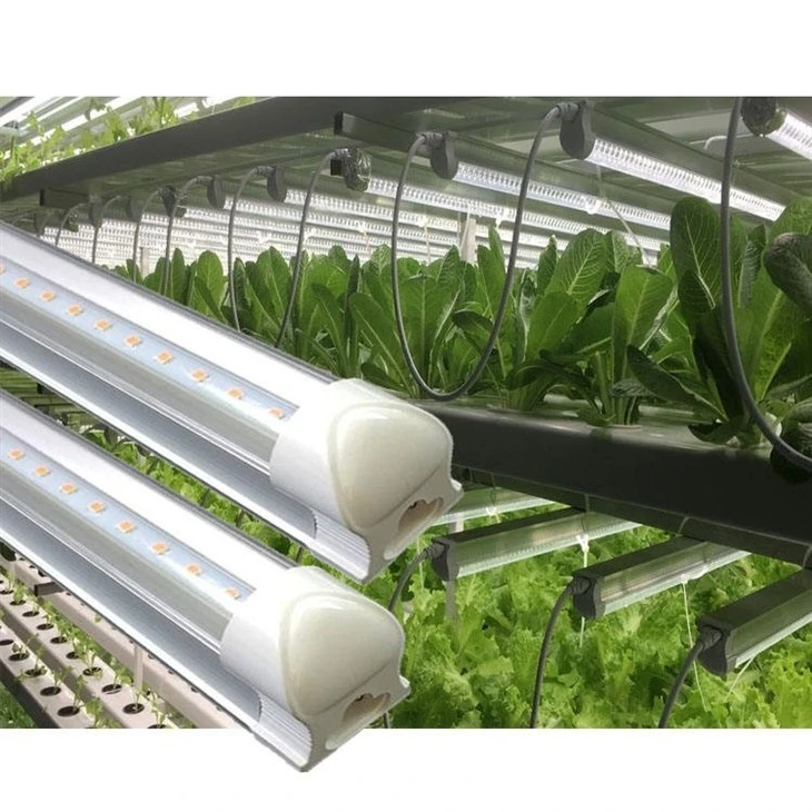 full spectrum grow lights