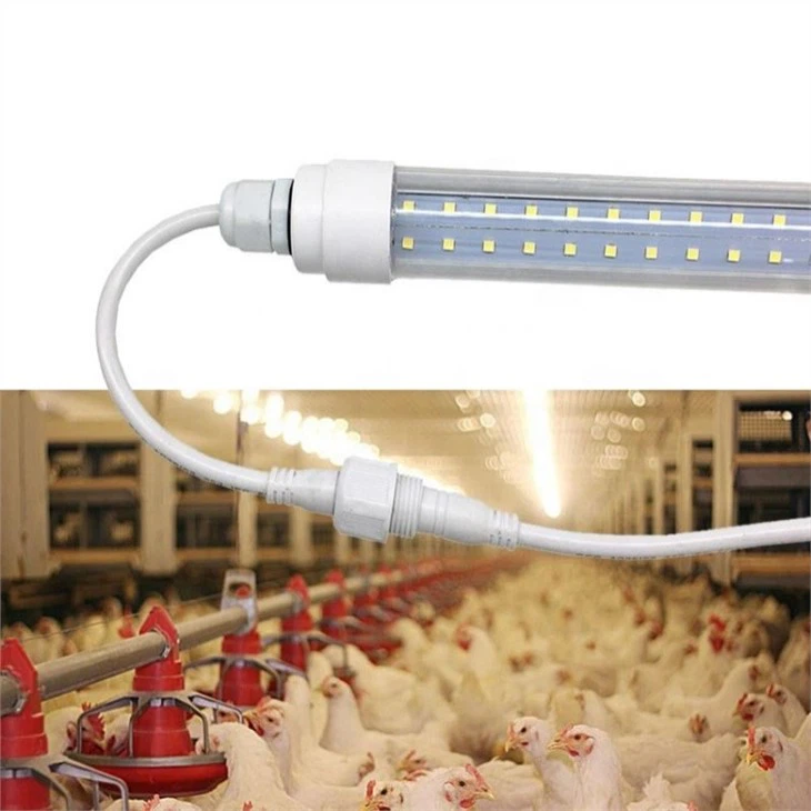 Poultry Farm LED Lighting