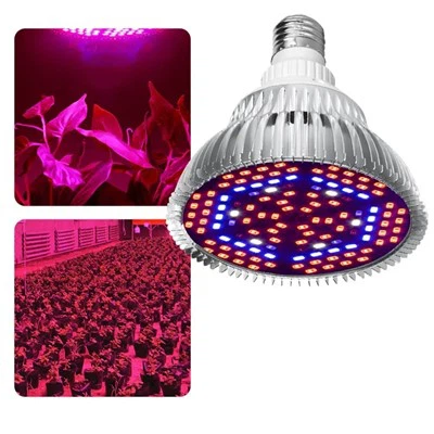 طيف كامل الصمام تنمو لمبة