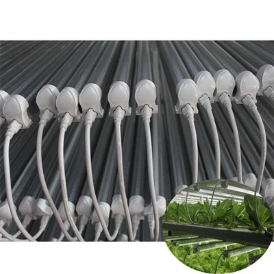 طيف كامل الصمام تنمو الاضواء