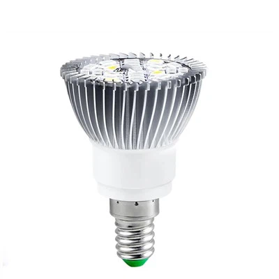 تنمو الخفيفة لشجرة الليمون