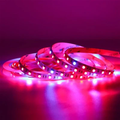 شريط اضاءة ليد 30 متر