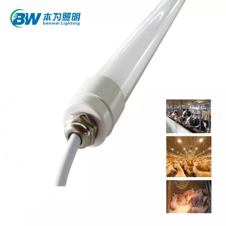 0-12V Dimmable 4700K 12W Chicken Light