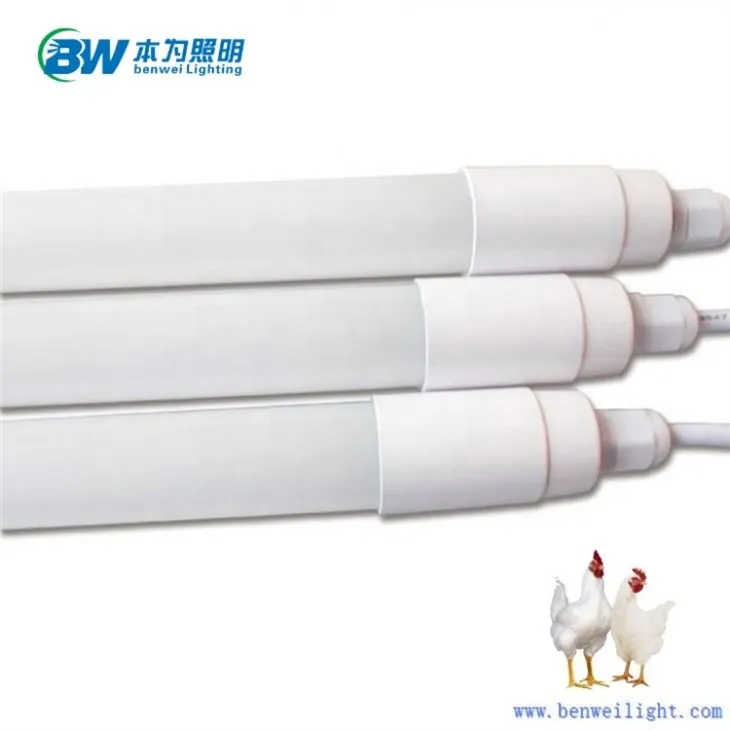 24w Light Bulbs For Chicks