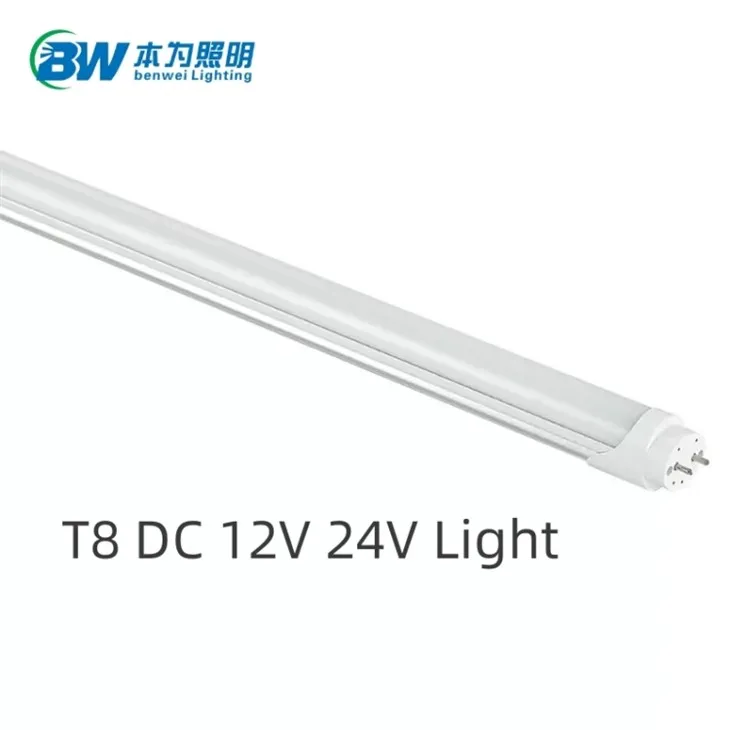 24w Light Bulbs For Chicks