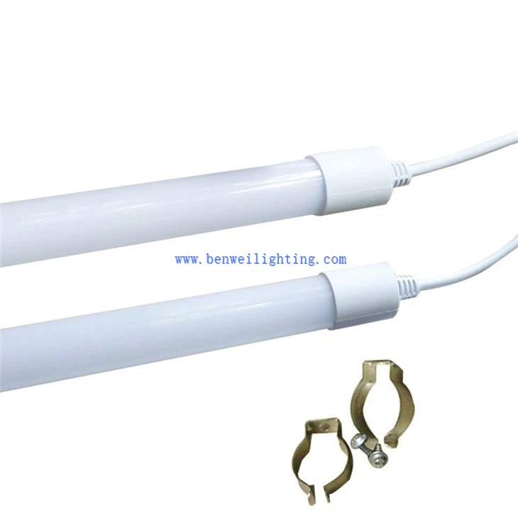 Aviary illumination light (2)