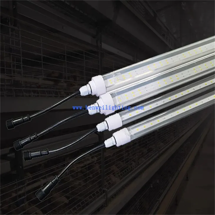 Chicken Farmyard Light (4)