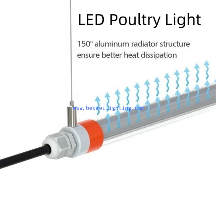 Chicken Light With 0-12V 5600K 15W 12W