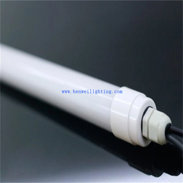 Dairy Cow Breeding Light (2)