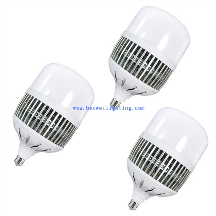 Fin Workshop Bulb (5)