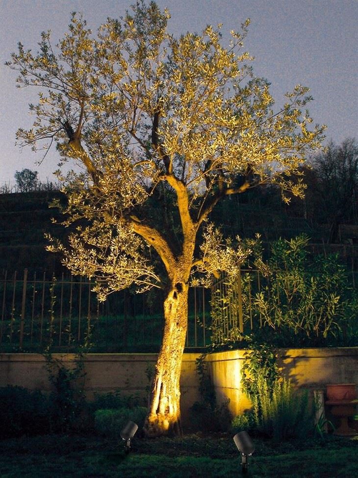 Floodlight IP66 Waterproof