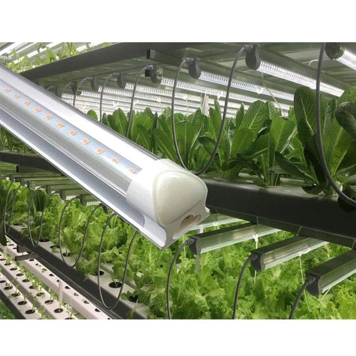 Indoor Planter With Light