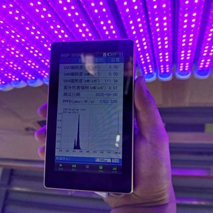 Integrated LED T8 UV Black Lights factory