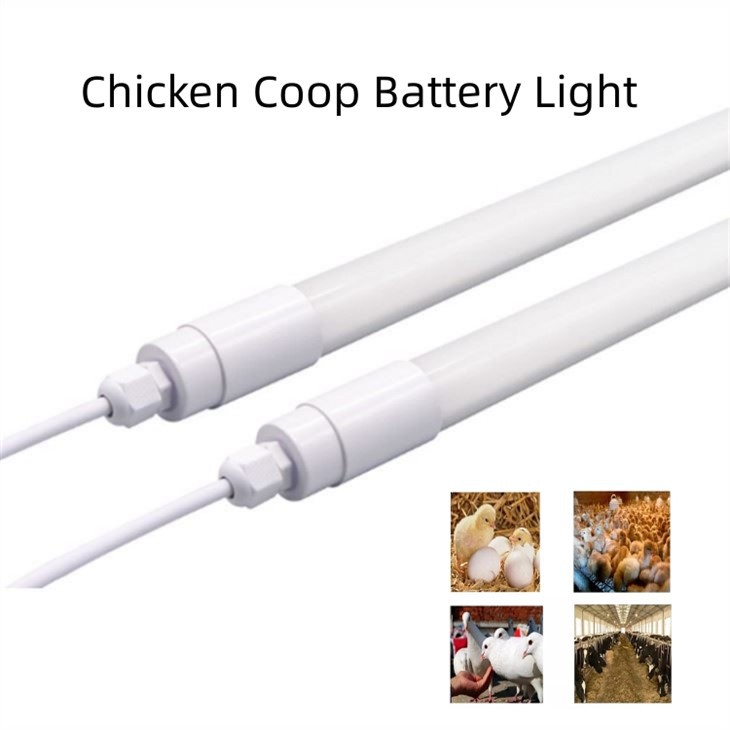 IP65 T8 Chicken Farm Tube Light