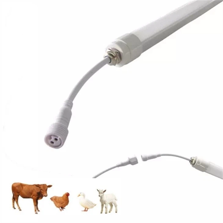 Milk House Light