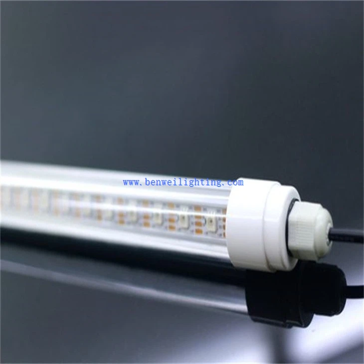 Photosynthetic Growth Light (3)