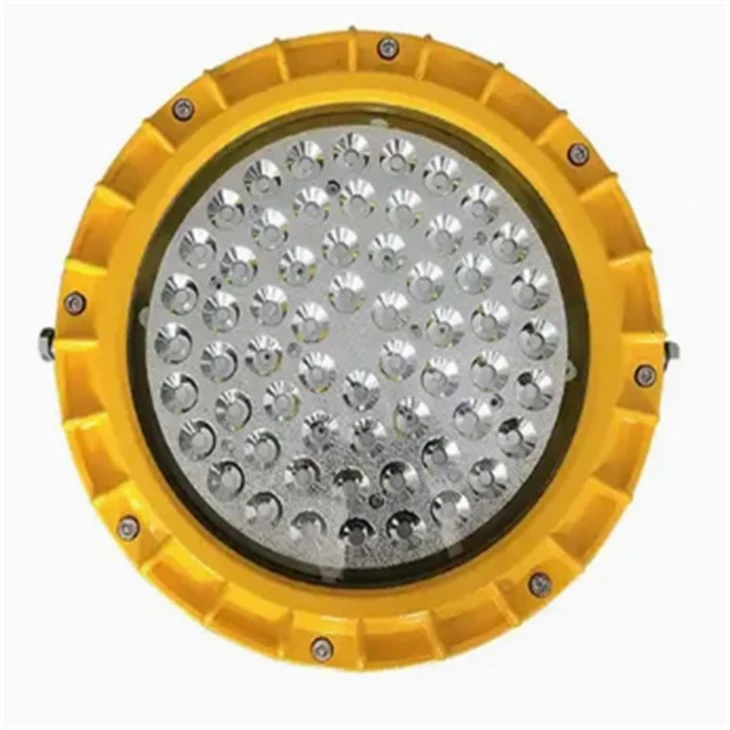 Portable Led Explosion Proof Lights Flood Light