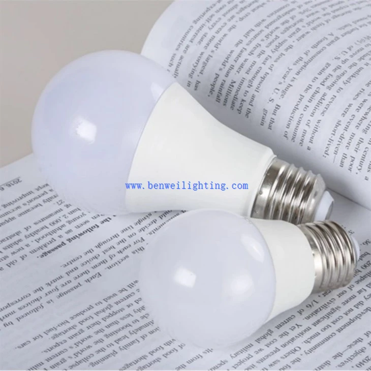 Practical LED Indoor Bulb (1)