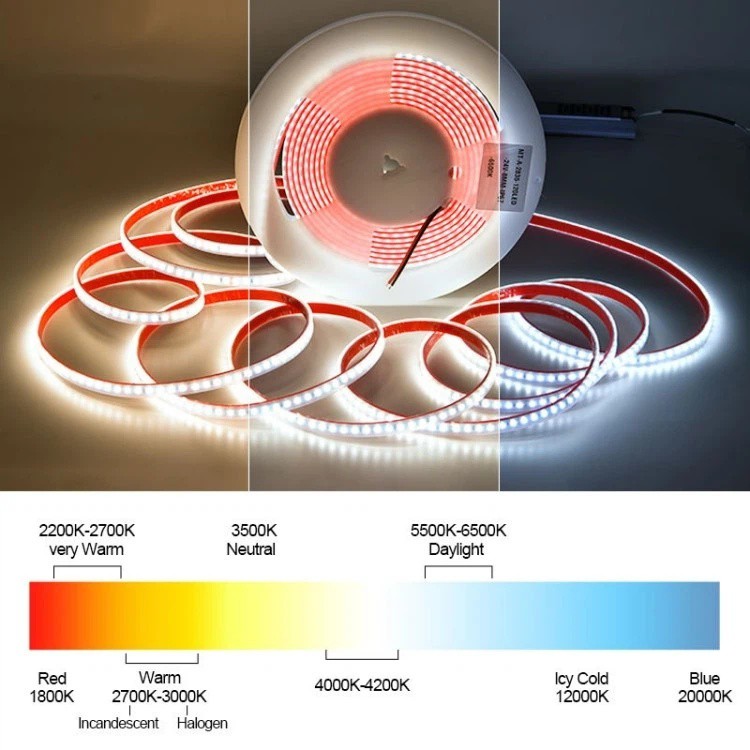 product-750-750 product-750-750
