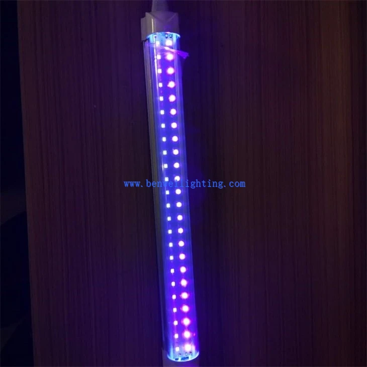 Purple UV Light (5)