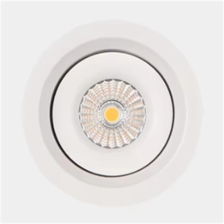 Recessed Adjustable Downlight best
