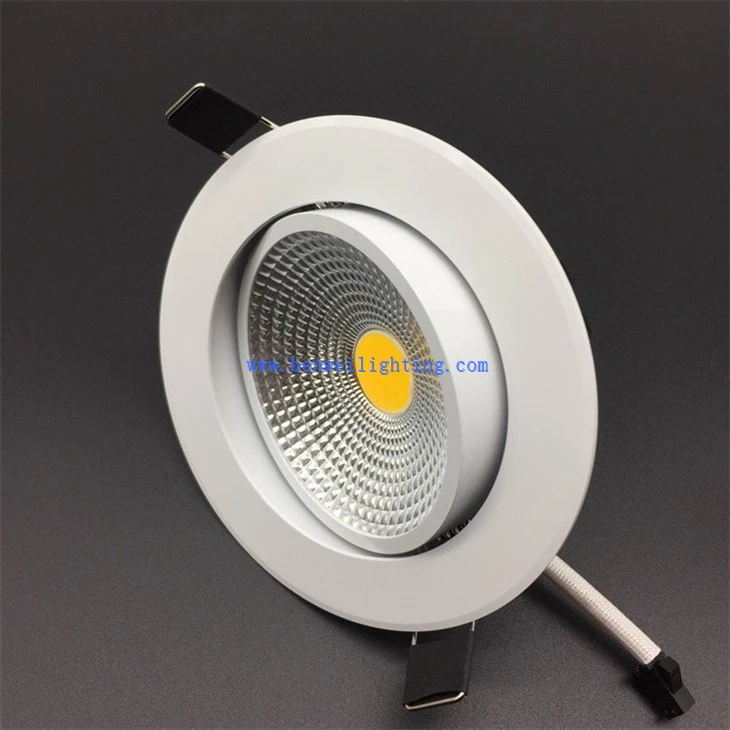 Round Downlight (3)