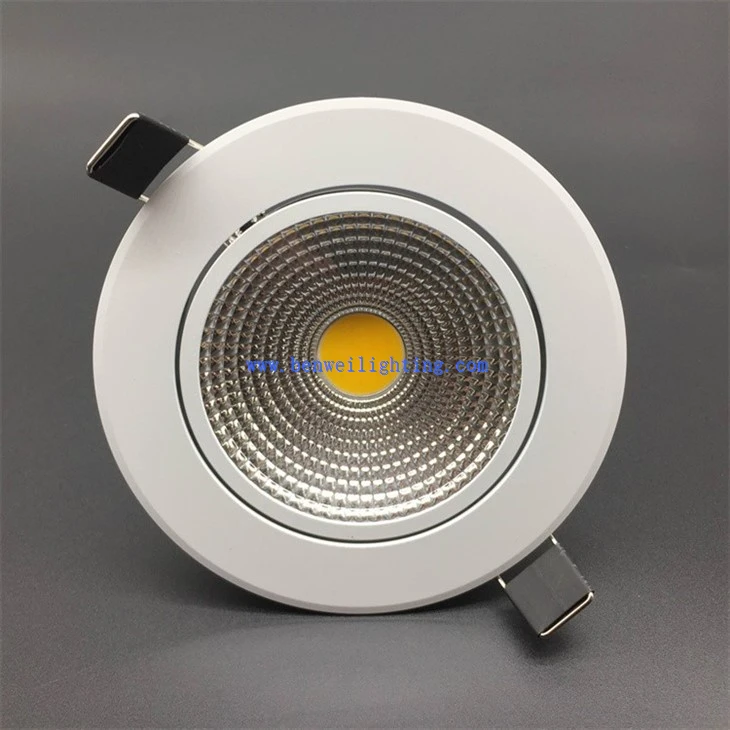 Round Downlight (1)