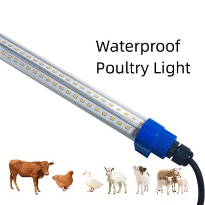 مصباح LED للدواجن 4 أقدام 18 وات