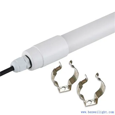 إضاءة LED للدواجن