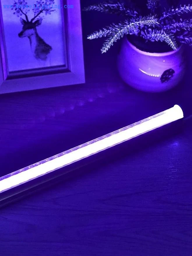 51GMyd2PSvL._AC_SY879_